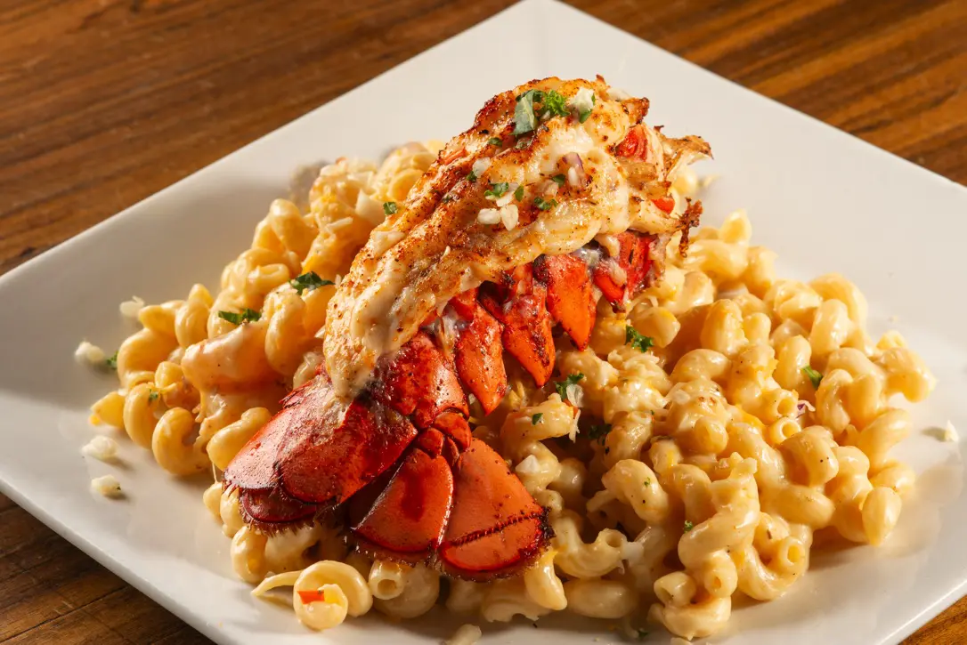 power tower lobster mac